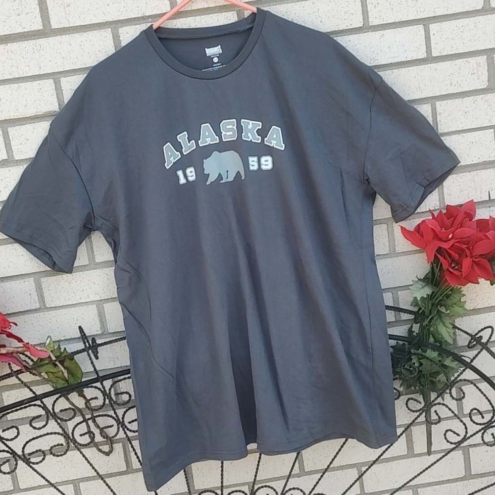 Alaska,T-Shirt - Gray - Picture 4 of 8